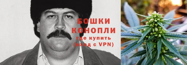 прущая мука Снежногорск