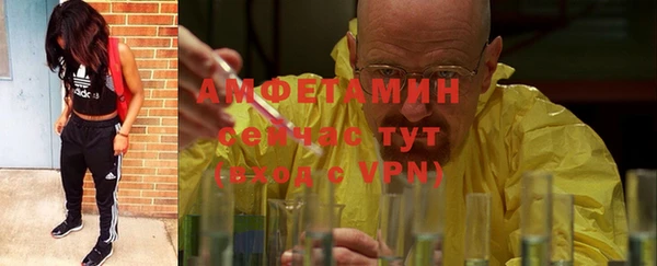 PSILOCYBIN Слюдянка