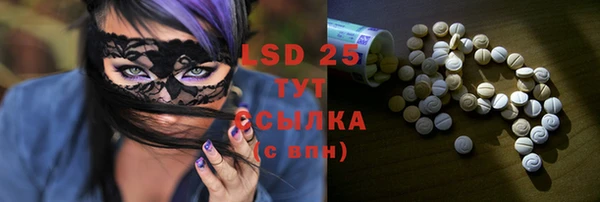 PSILOCYBIN Слюдянка