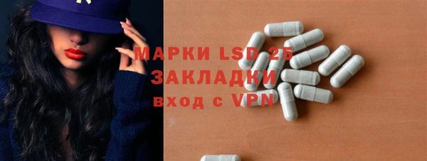 PSILOCYBIN Слюдянка