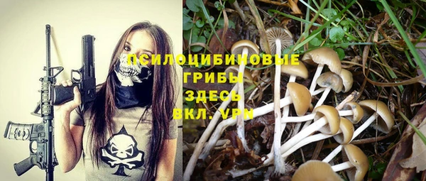 прущая мука Снежногорск