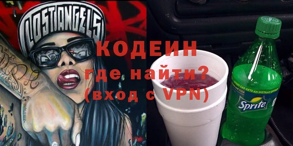 индика Сосновка