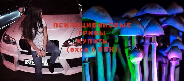 прущая мука Коряжма